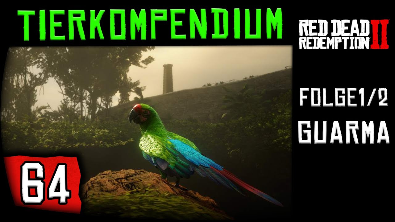 RED DEAD REDEMPTION 2 🐎★ (TIERKOMPENDIUM 1/2) GUARMA VERPASSBARE TIERE! 100% GUIDE ★[100% |PART 064]