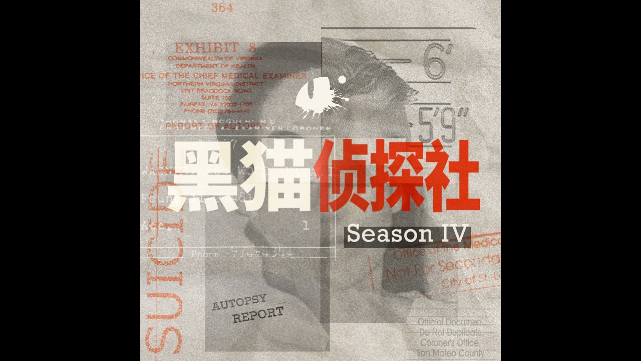 【加更】&ldquo;梅姨&rdquo;落网：一个消失了20年的女人（S4E3）