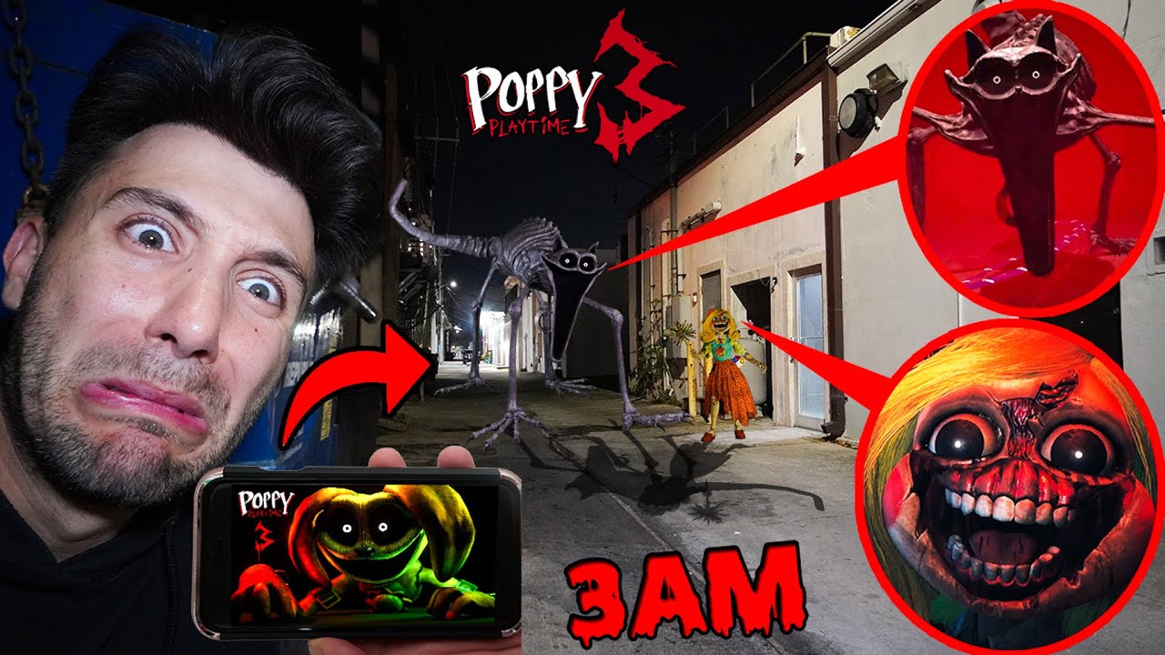 DONT WATCH POPPY PLAYTIME CHAPTER 3 SCARY VIDEOS 3AM | MISS DELIGHT & NIGHTMARE CATNAP ATTACKED ME