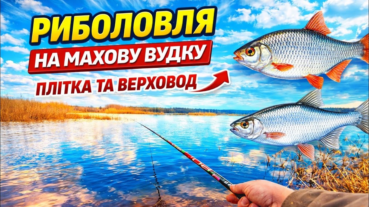 Риболовля на махову вудку. Плітка та верховод