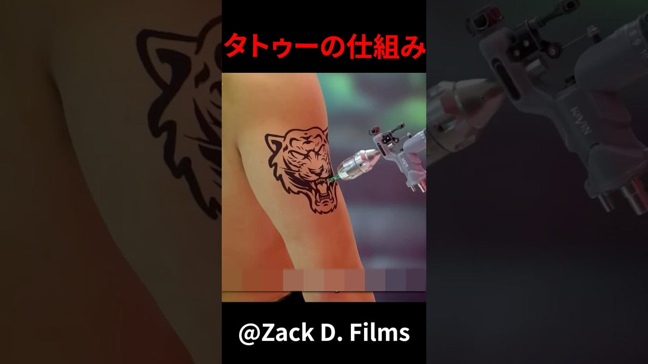 タトゥーの仕組み　#shorts