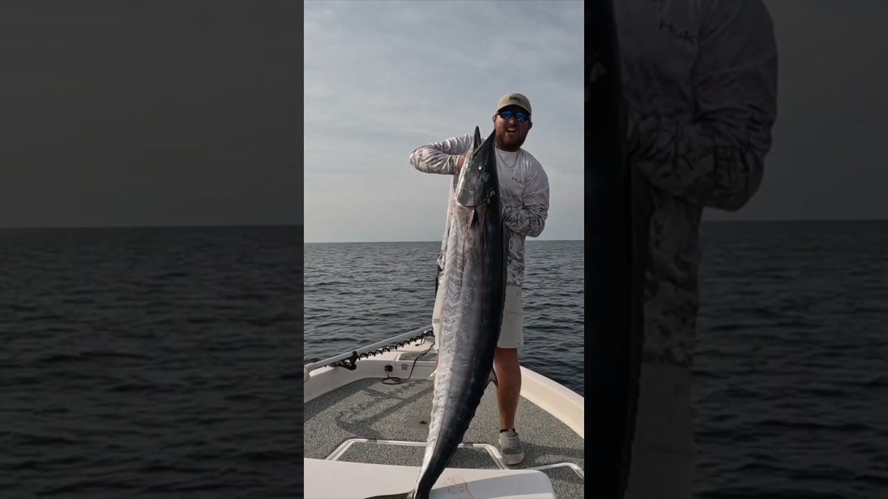 I was fishing 50 miles offshore solo when I caught this #shorts #fishing  #giant  #offshore