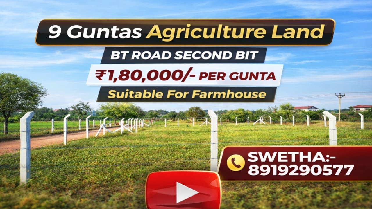 Swetha:8919290577||BT Road 2nd BIT||Small Extent||9 Guntas||Agriculture land fr sale #agricuture #yt
