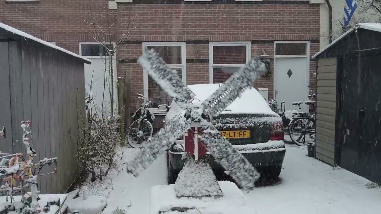molen de roodborst in de sneeuw