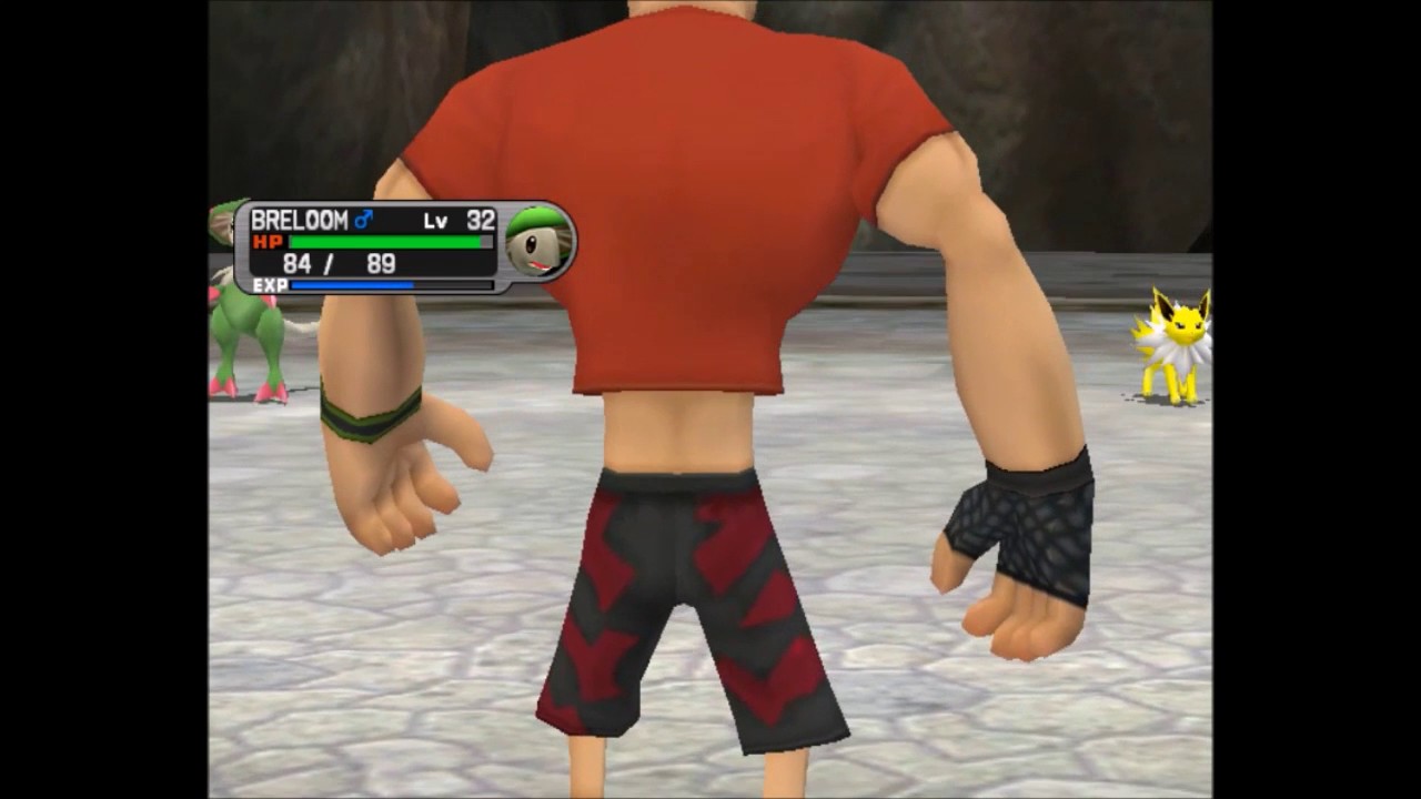 Pokemon XD: Gale of Darkness Boss 23 - Zook