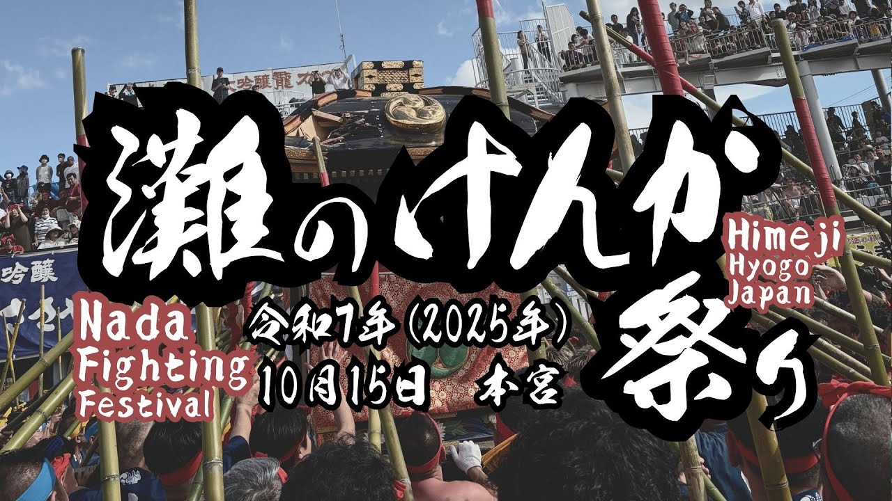 🇯🇵⛩️灘のけんか祭り2025年10月15日本宮| 縦長動画|Nada Fighting Festival,Himeji, Hyogo, Japan