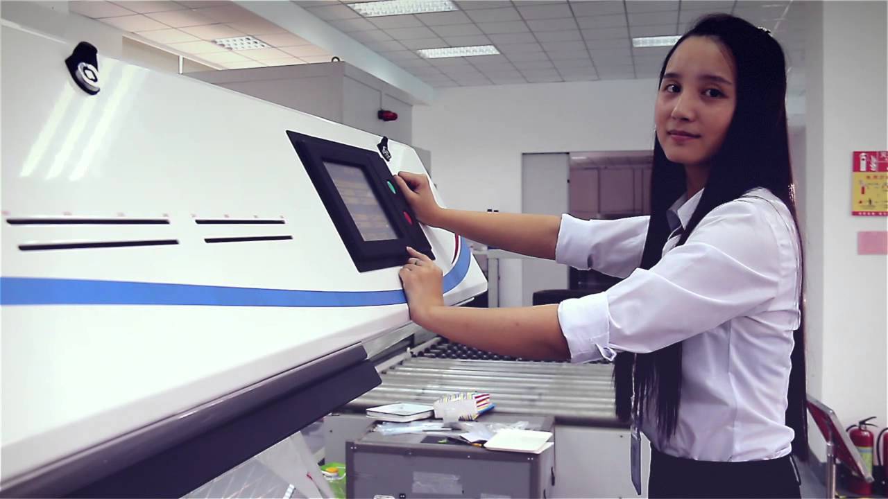 Remote Control in MEYER Color Sorter