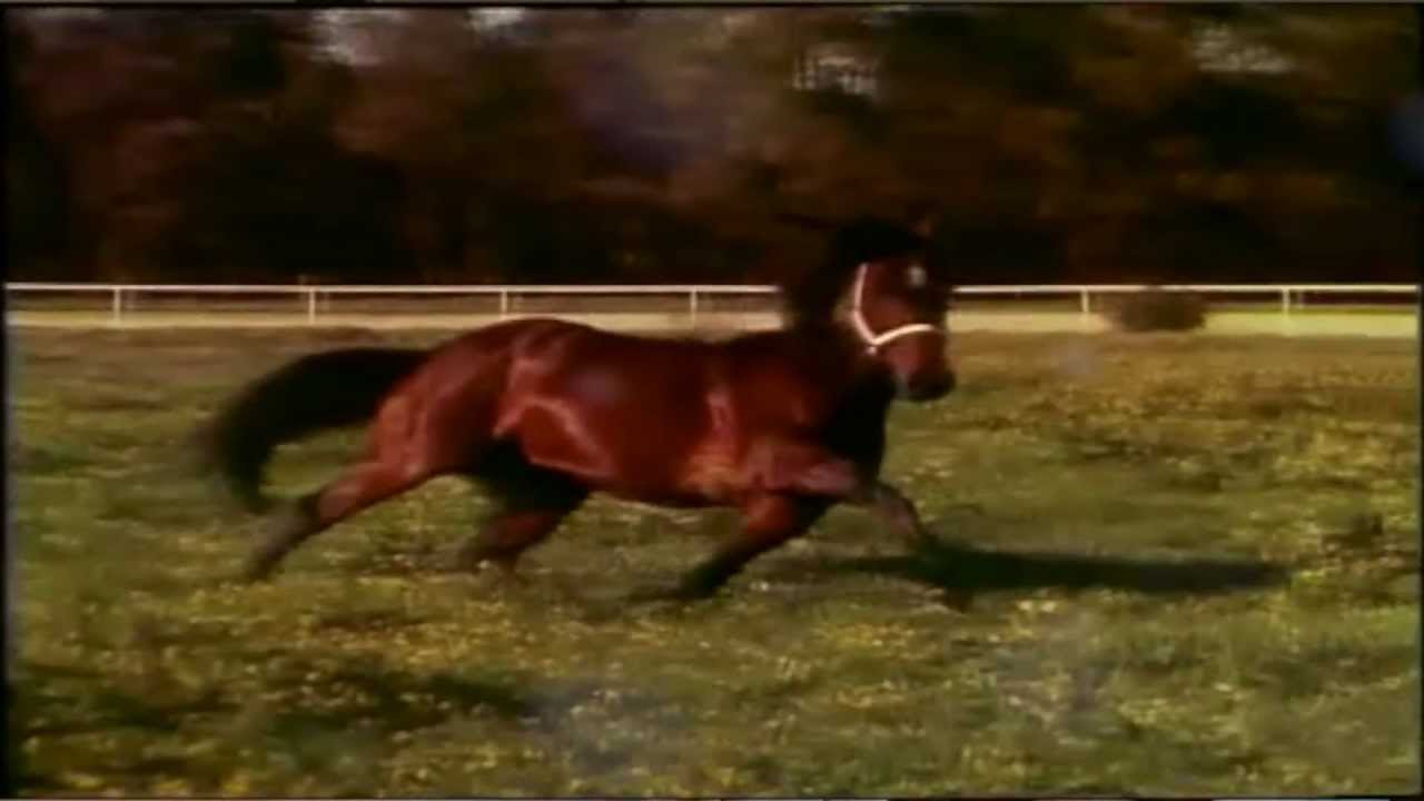 Pure Steel - Short Documentary