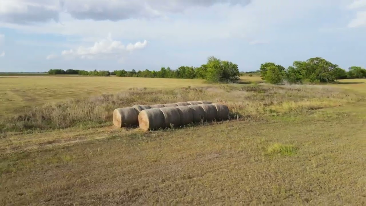 50 Acres in Wallis, TX