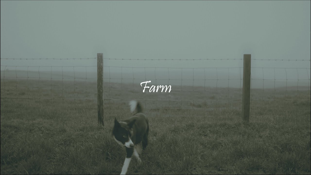 Farm | Fujifilm XH2s