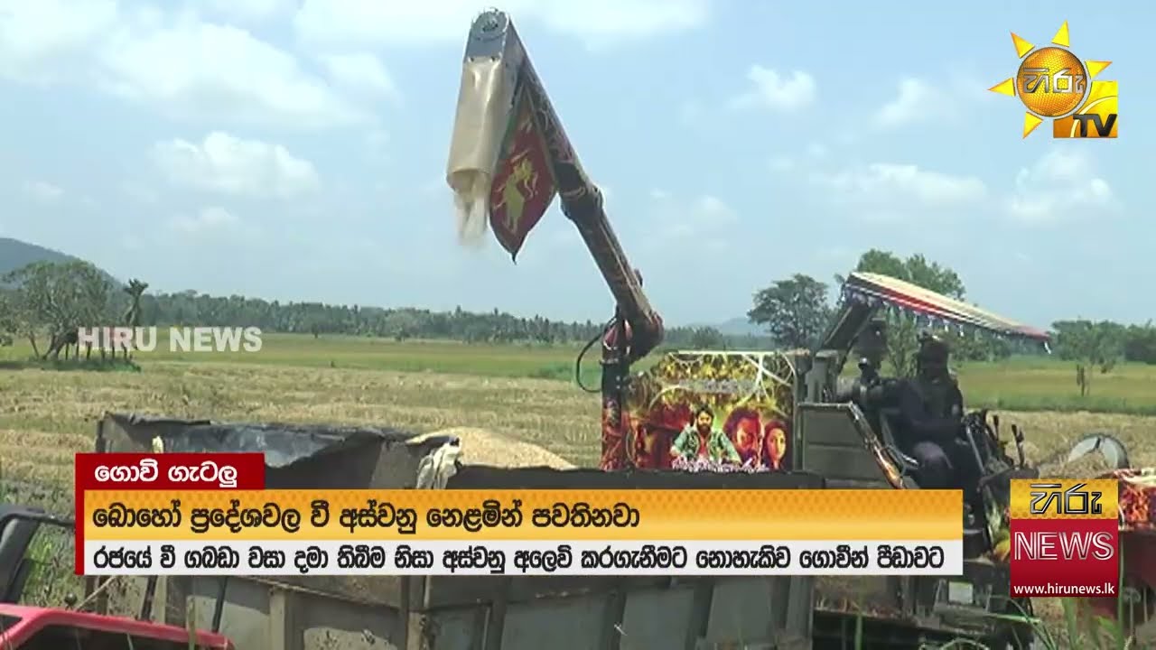 රජයේ වී ගබඩා වසා දමා තිබෙන නිසා ගොවීන් පීඩාවට - Hiru News