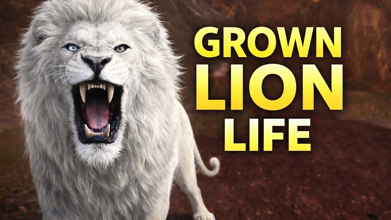 I Spawned as a GROWN WHITE LION in [Roblox Savannah Life]