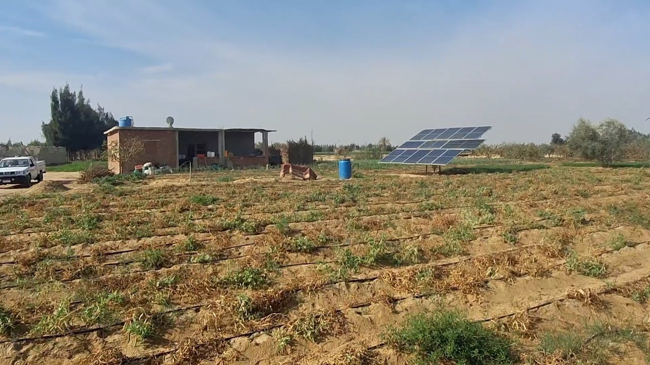 مزرعة 4 فدان علي ضاحية مدينة وادي النطرون طريق مصر اسكندرية الصحراوي