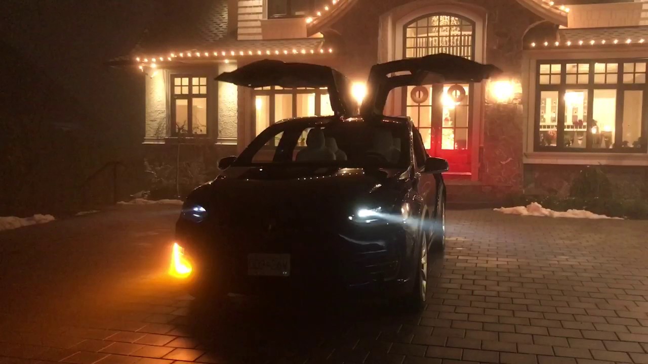 Tesla - dancing Merry Christmas