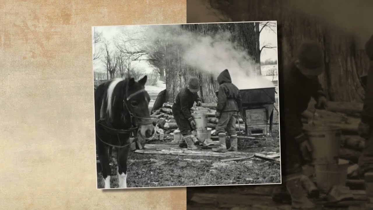 2026 Laissez Les Bons Temps Roulez