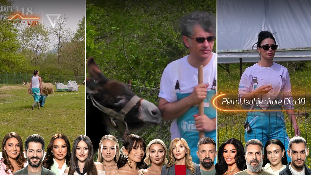 P&euml;rmbledhje ditore - Debate t&euml; ashpra n&euml; Ferma VIP, ja &ccedil;far&euml; po ndodh - Vizion Plus