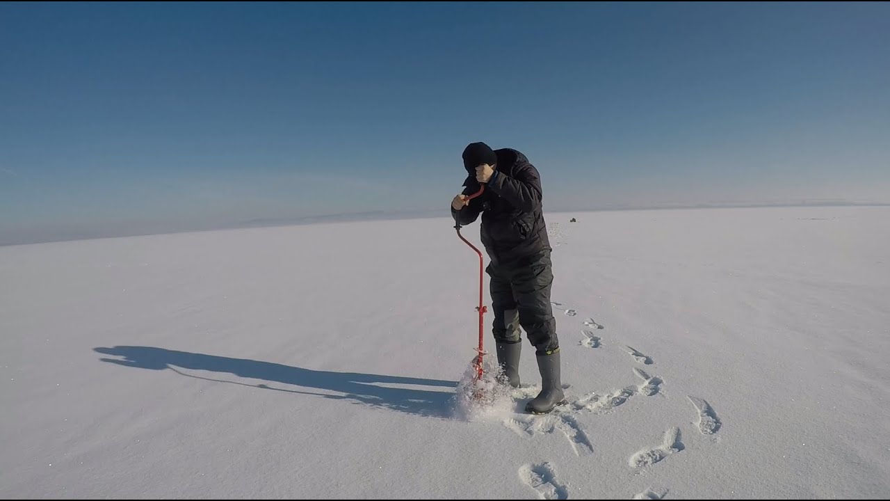 Am Pescuit Copcă și am Salvat Partida cu un Biban