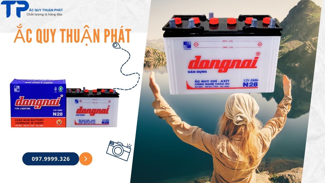 Ắc quy Đồng Nai N28 12V-28AH chuyên dùng thắp sáng, chạy oxy cá, thiết bị 12V..v.v....