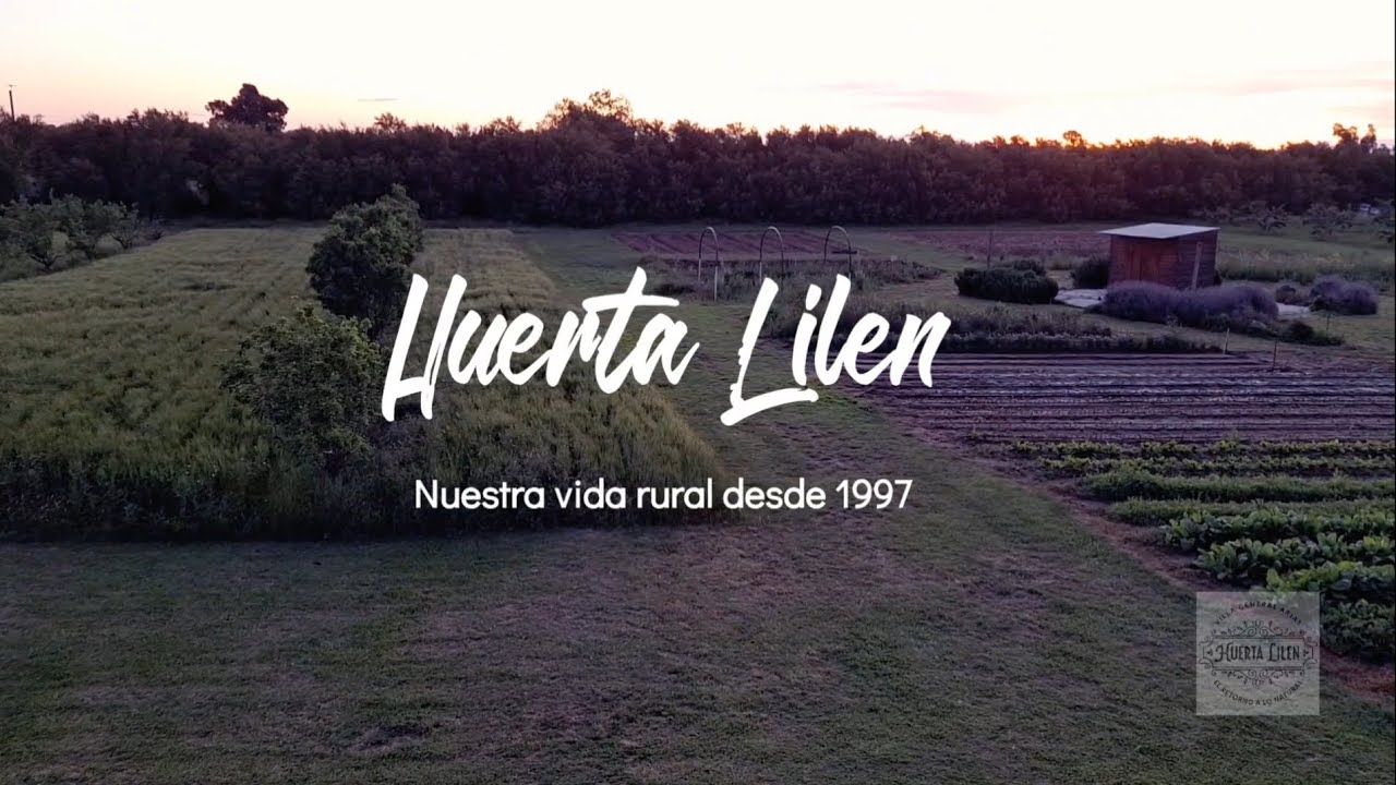 Primavera a pleno en la huerta y el jardín. Transplante de tomates, lechugas y flores de verano.