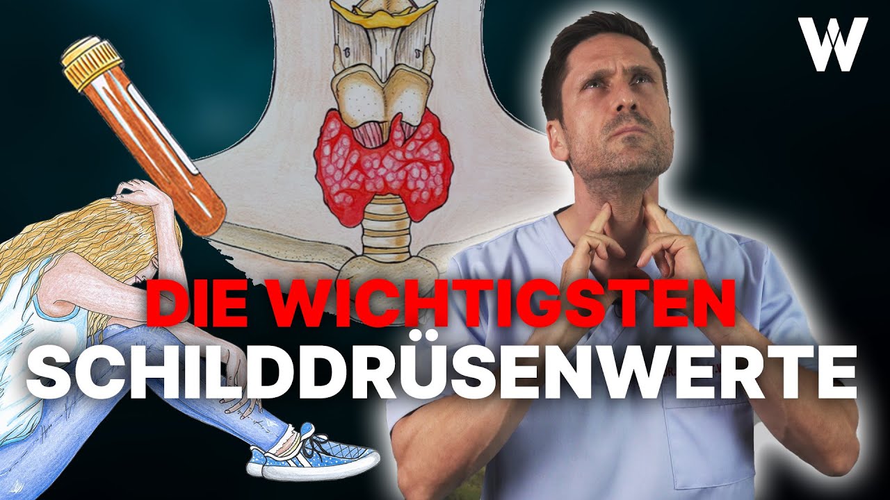 Schilddrüsenwerte verstehen: Wichtige Unterschiede & die Bedeutung der Blutwerte für die Schilddrüse