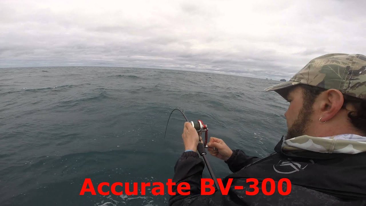BV 300 white island king fish