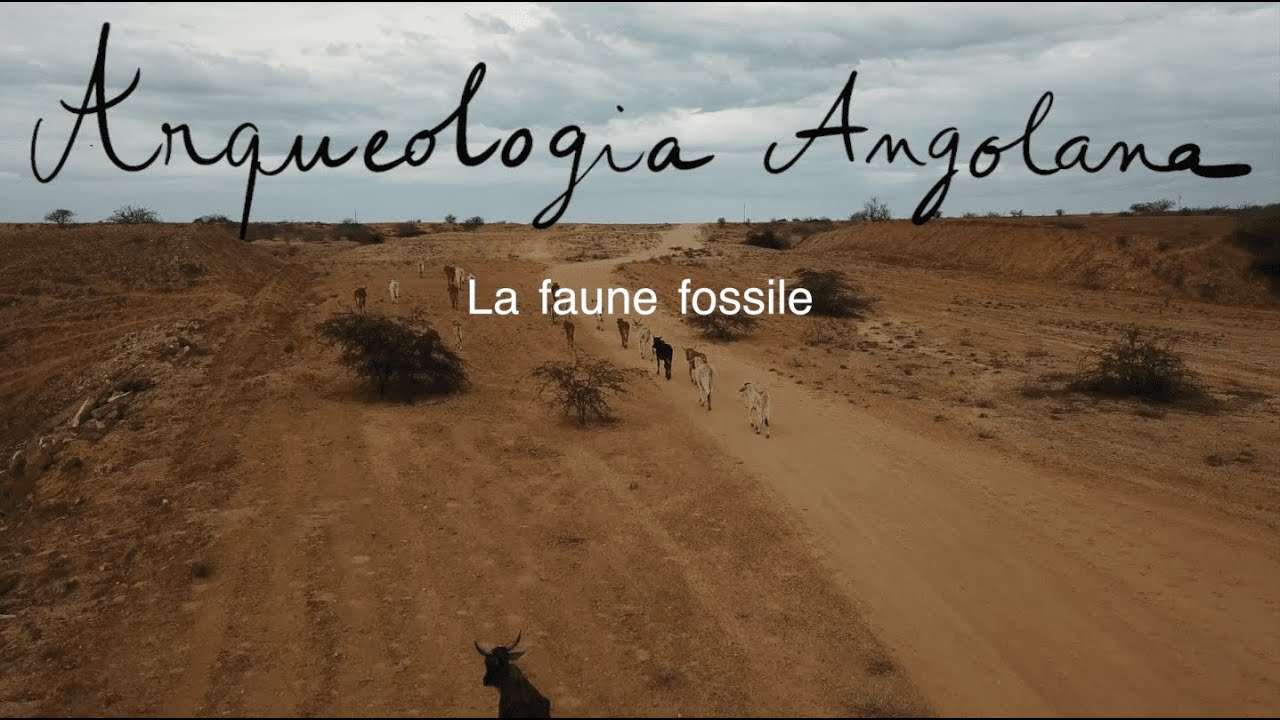 Arqueologia Angolana 4 - La faune fossile