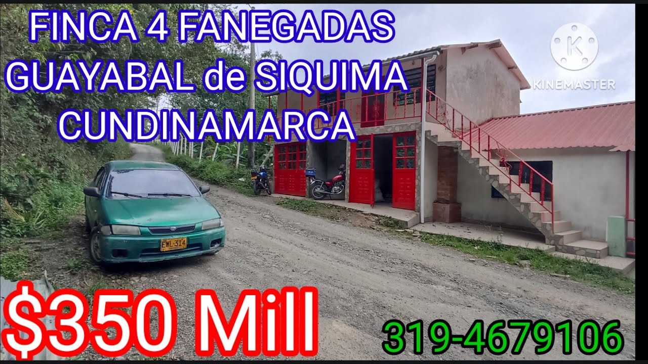 💲 PRECIO $350 Mill.. (FINCA 4 FANEGADAS GUAYABAL SIQUIMA) 3194679106