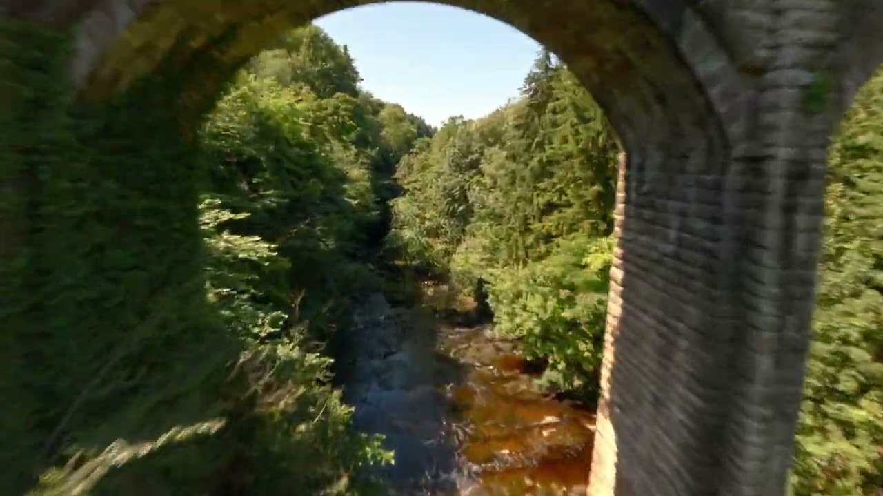 Dukes Bridge Chatelherault july'25