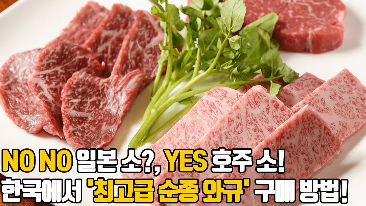 왜 호주에 일본소인 와규가 있을까? 좋은 와규의 두가지 조건!