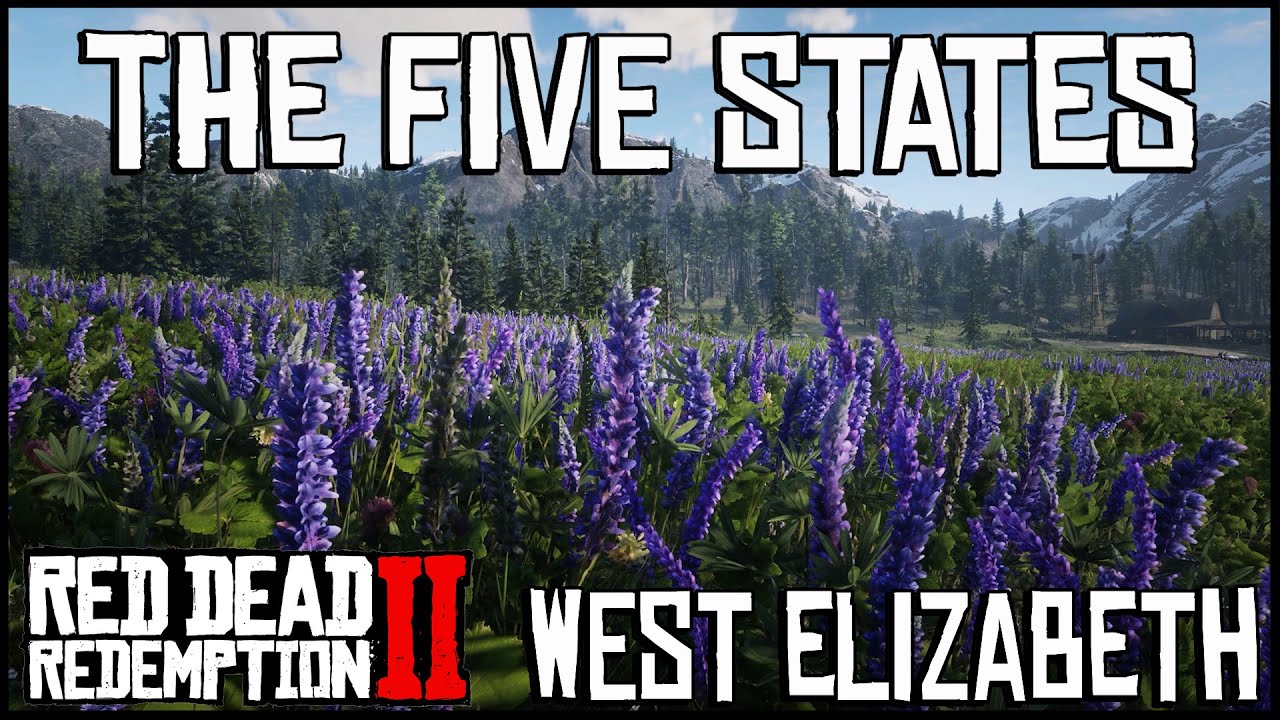 Red Dead Redemption 2 Documentary | The Five States | Ep 4 West Elizabeth