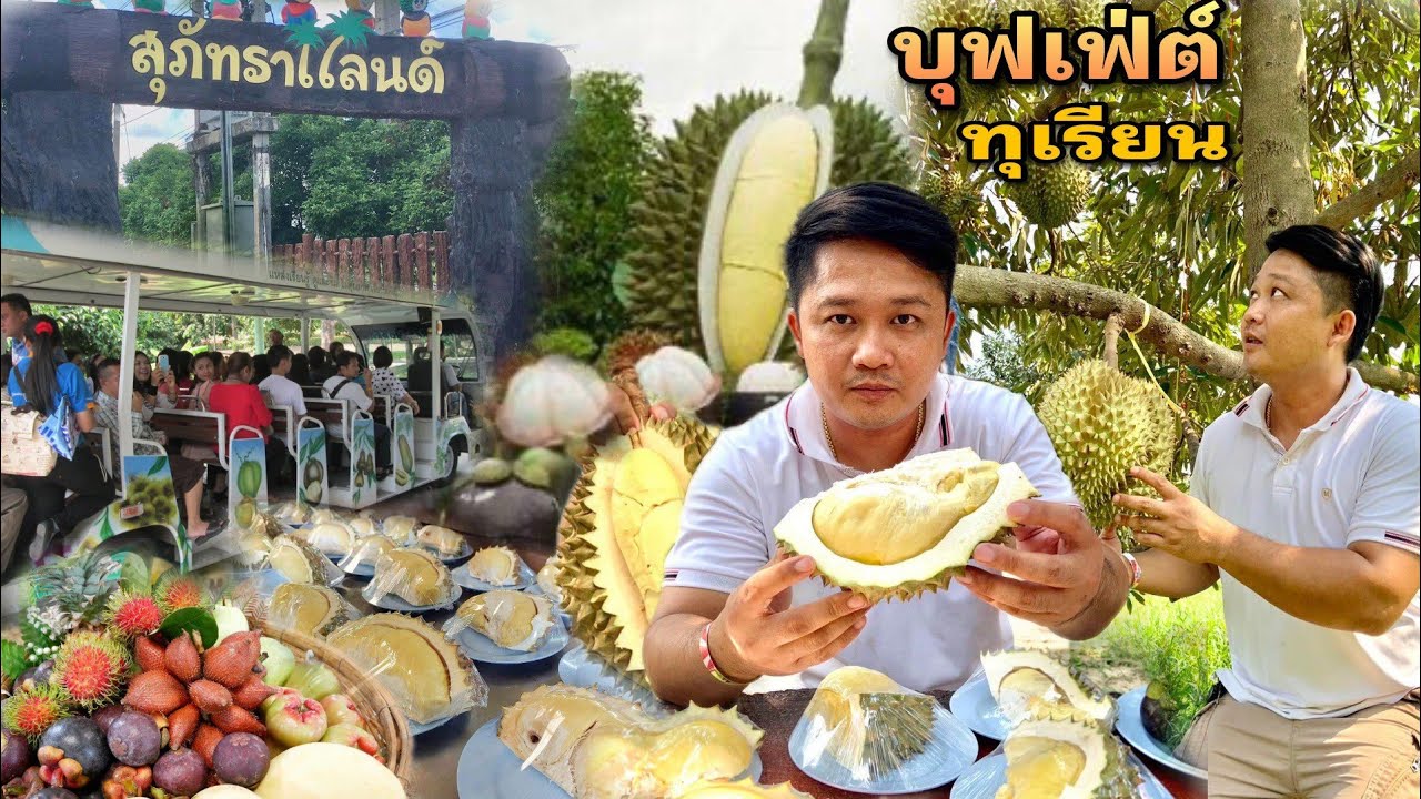 บุฟเฟ่ต์ทุเรียน ระยอง ปี2566 สวนสุภัทราเเลนด์ ไม่จำกัดเวลา กินทุเรียนก่อนใครต้องมาระยอง