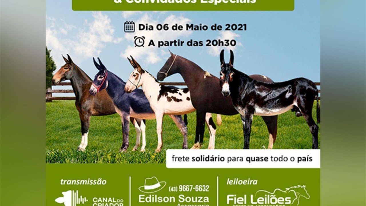 6° Leilão Caseína, Haras Paschoal & Convidados
