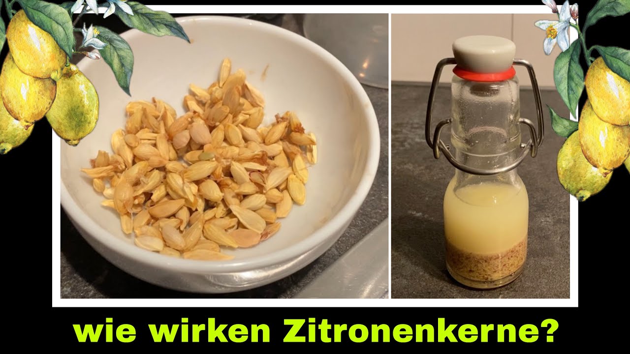 Zitronenkerntinktur Tinktur aus Zitronenkernen ansetzen | Zitronen Rezept | Selbstversorgung 