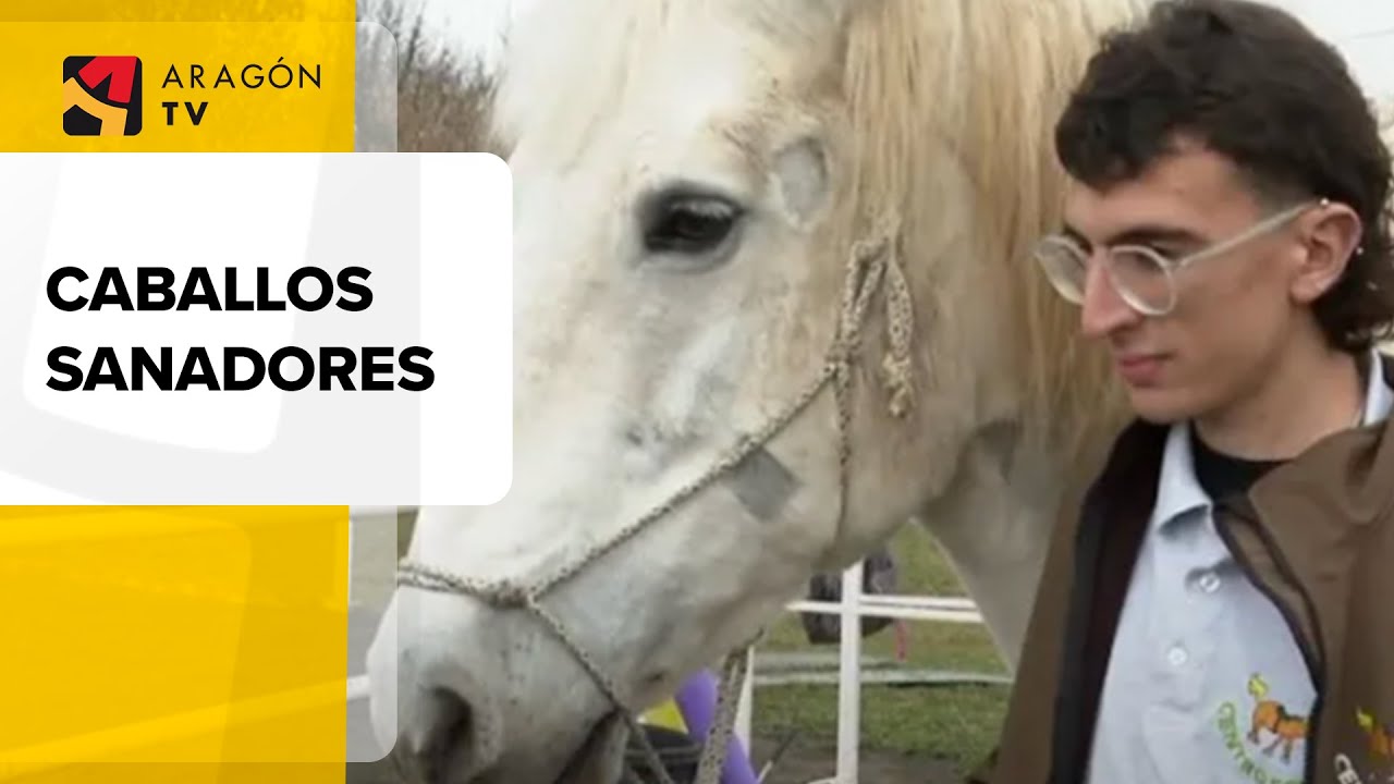 Caballos sanadores