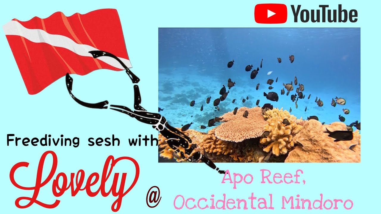 The travel I never thought I needed - Apo Reef, Occidental Mindoro