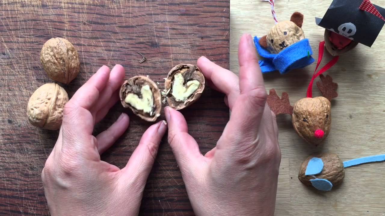 How to Split a Walnut in Half for Walnut Crafts