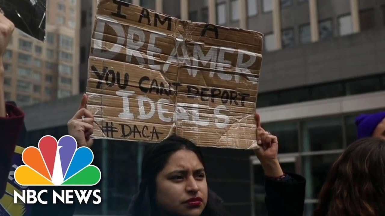 Biden To Tackle Immigration Reform With Eight-Year Path To Citizenship | NBC News NOW