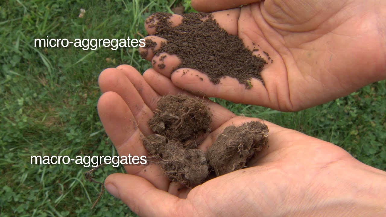 Soil Health: Physical Properties of Soil