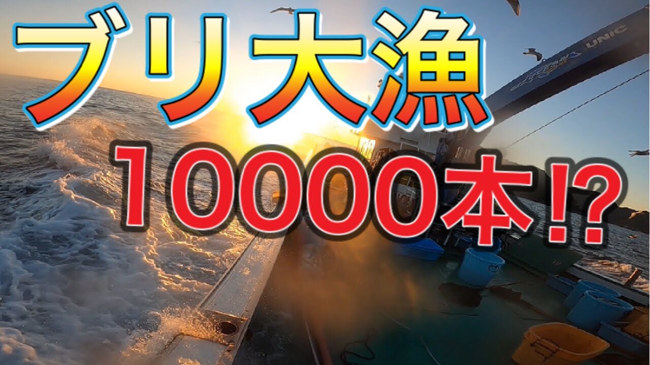 【漁師】ブリ大漁！10000本⁈