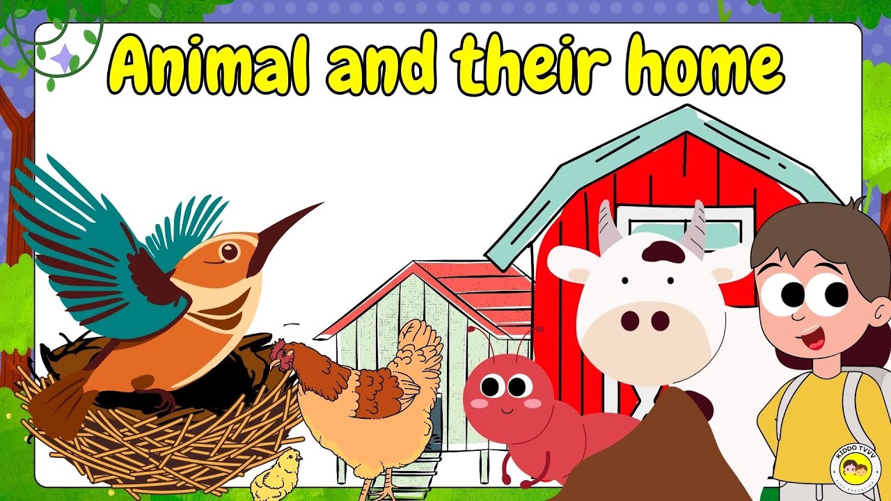 Animal Homes for Kids | Animals And Their Homes For #kids  |  Home Of Animal | Animal Homes |