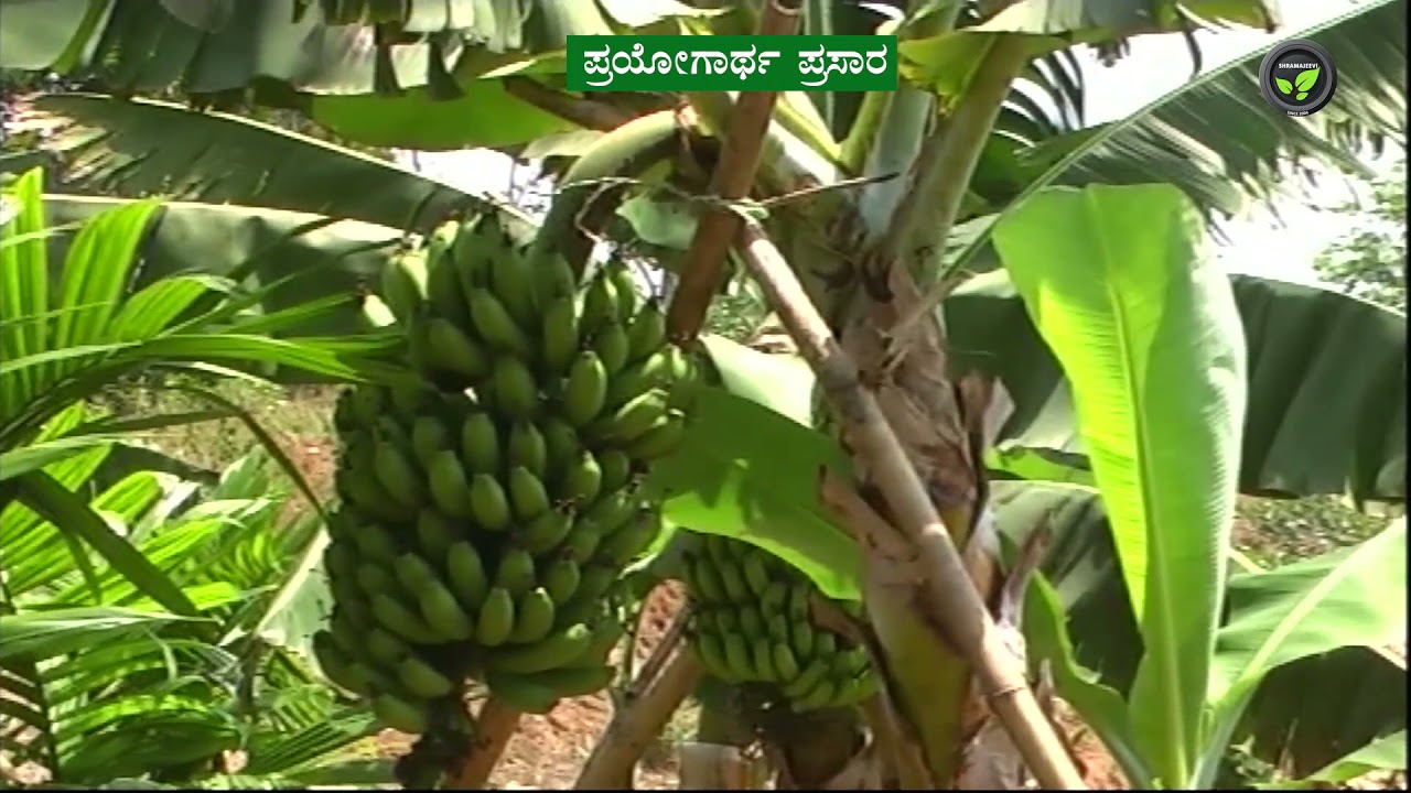 Shramajeevi TV Promo
