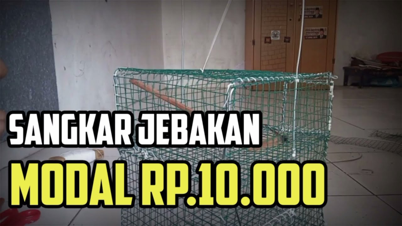Sangkar Jebakan/Perangkap Burung | Bird Trap | cuma Rp.10 rb