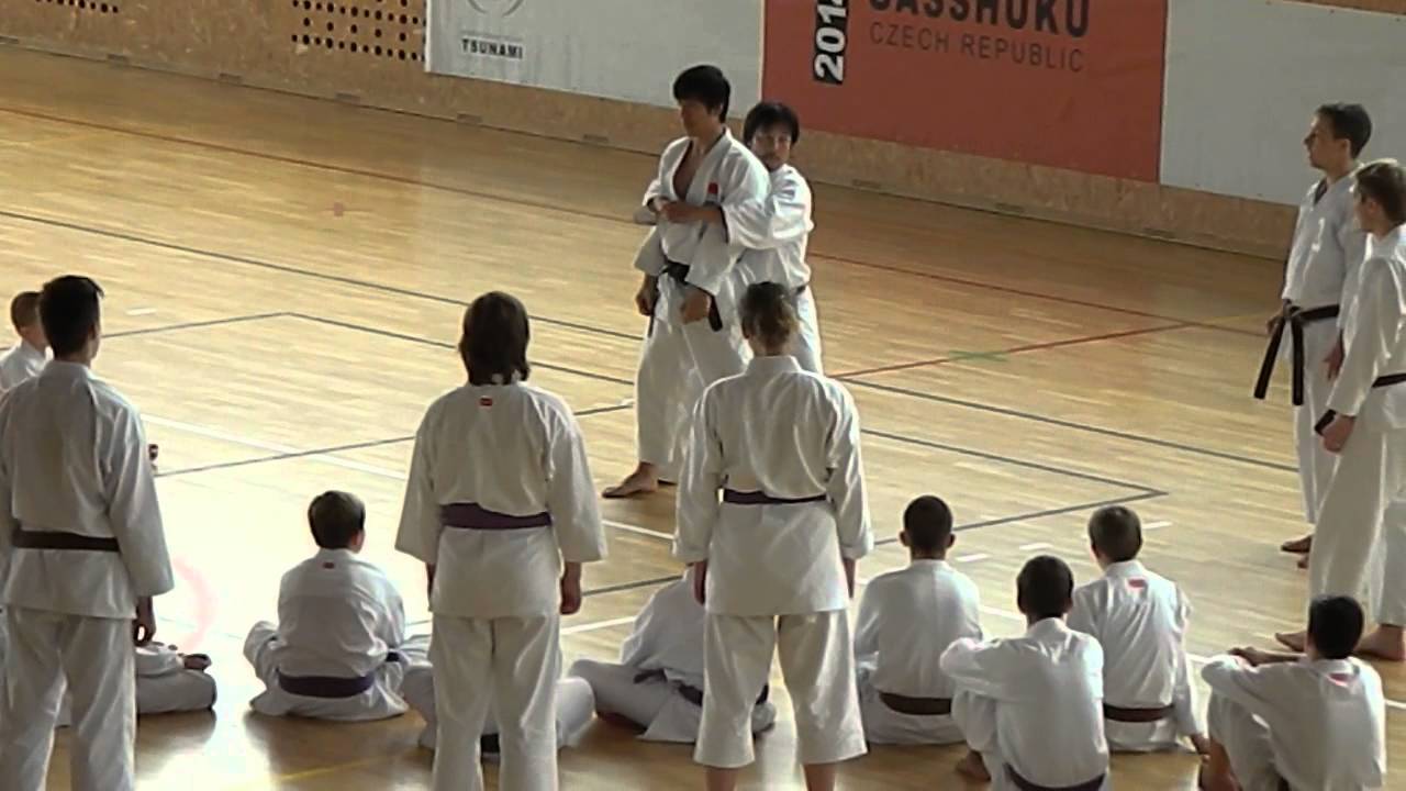 JKA Gasshuku Czech Rep. 2014 Naka Tatsuya part 3