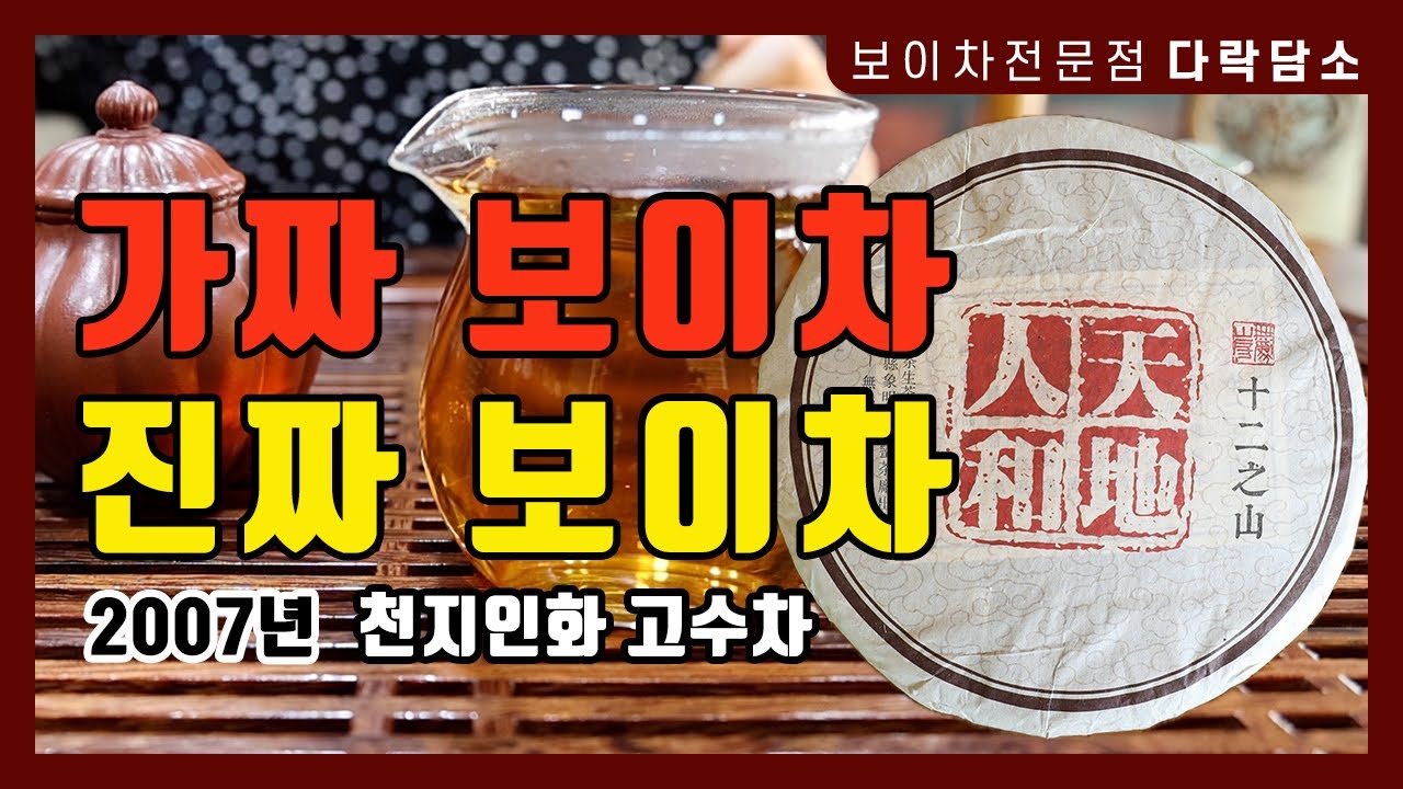 가짜 보이차 구별 피하는 방법 | 진짜 보이차 2007년 천지인화 고수차 소개 #보이차 #운남성보이차