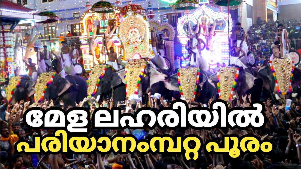 Pariyanampatta Pooram 2023 മേള പ്രേമികൾ കാത്തിരുന്ന പരിയാനംപറ്റ പൂരം