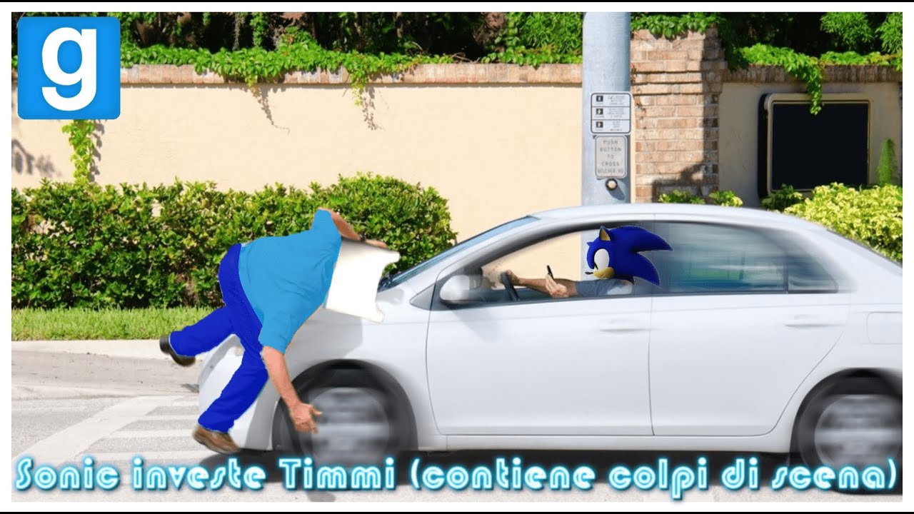 Sonic Investe Timmi!!! (contiene colpi di scena) | GMOD ITA