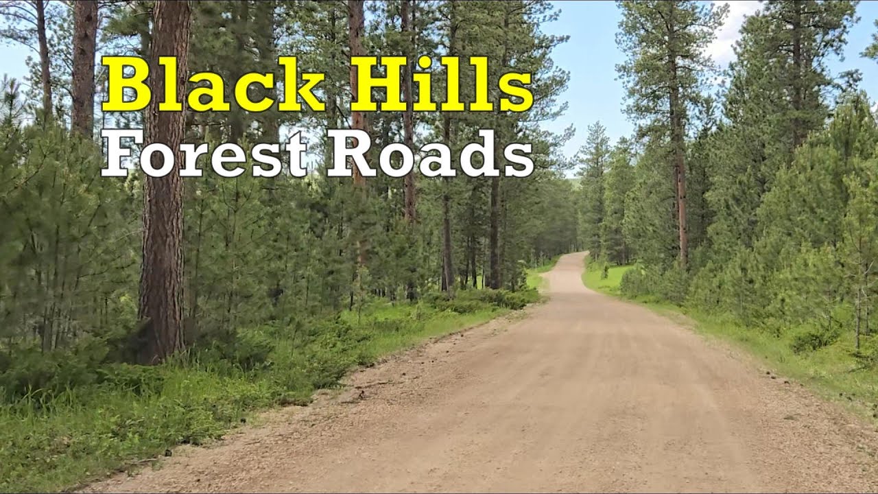 Driving the Forest Service Roads in the Black Hills of South Dakota | Black Hills National Forest