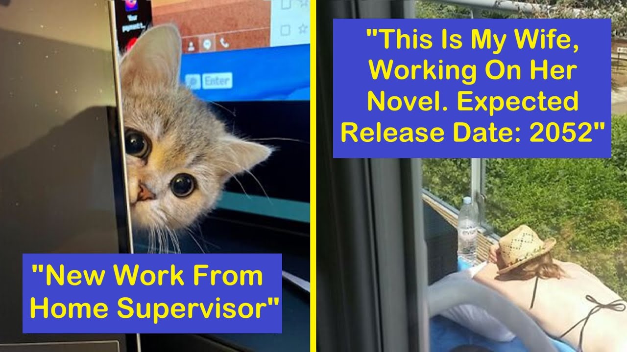 Funny Work-From-Home Moments To Help You Survive Until The Weekend | Happy And Fun