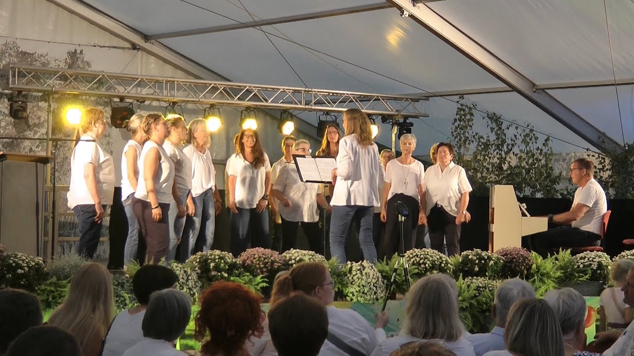 Abba- Medley