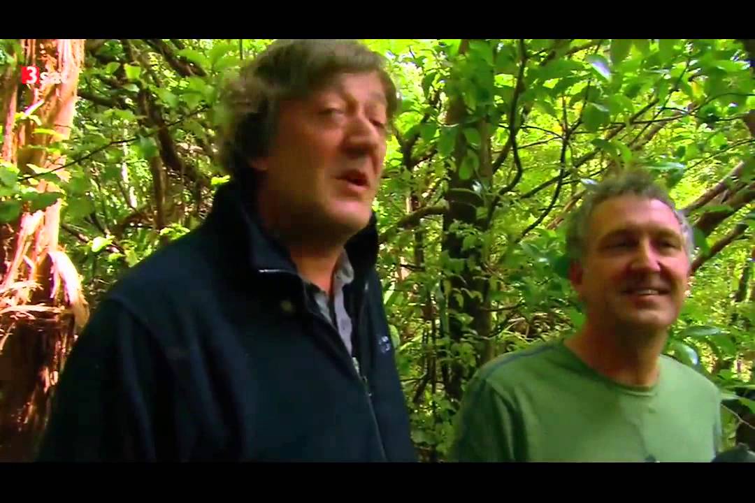 KAKAPO auf 3sat